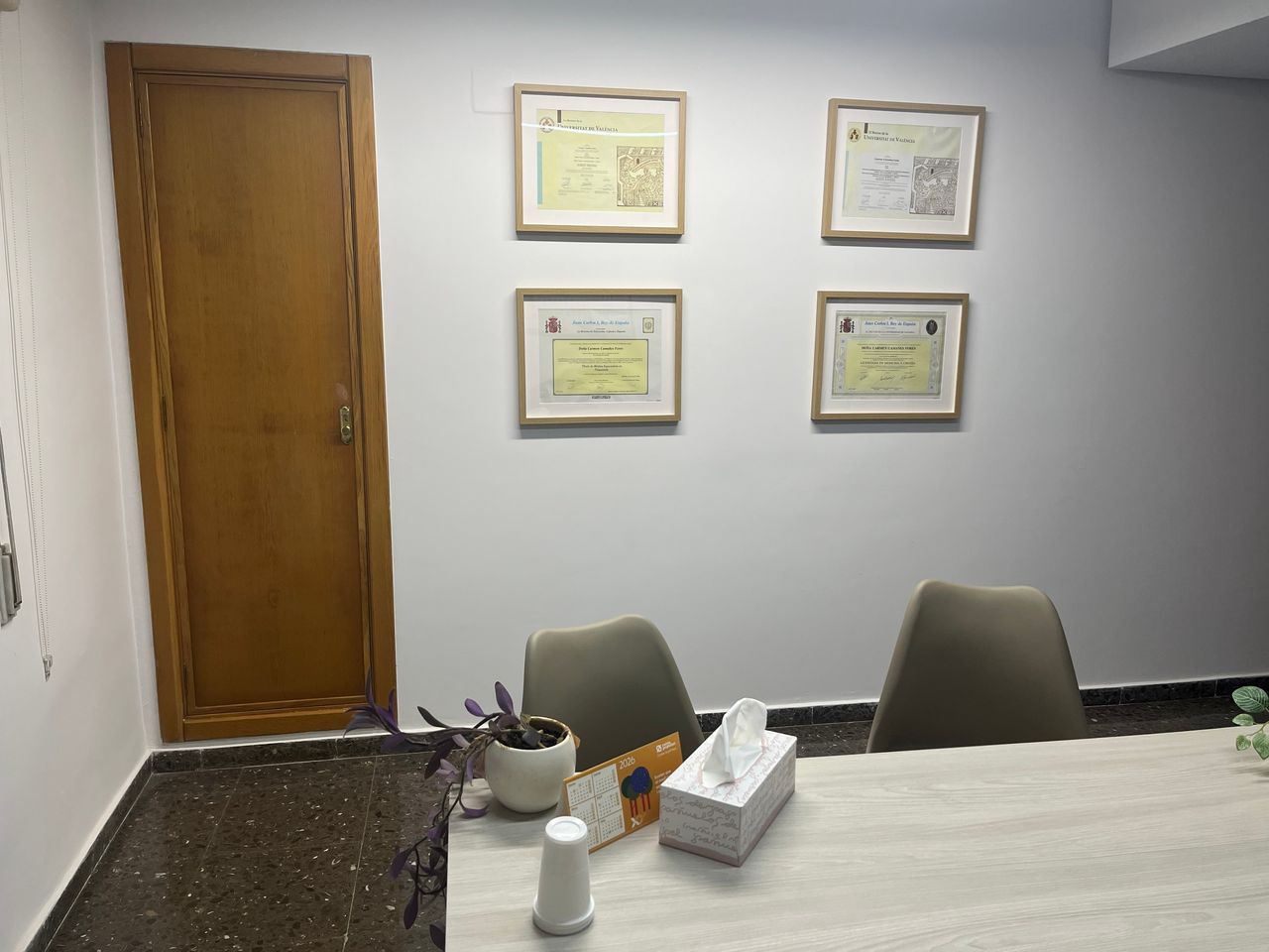 Carmen Camañes Forés-3