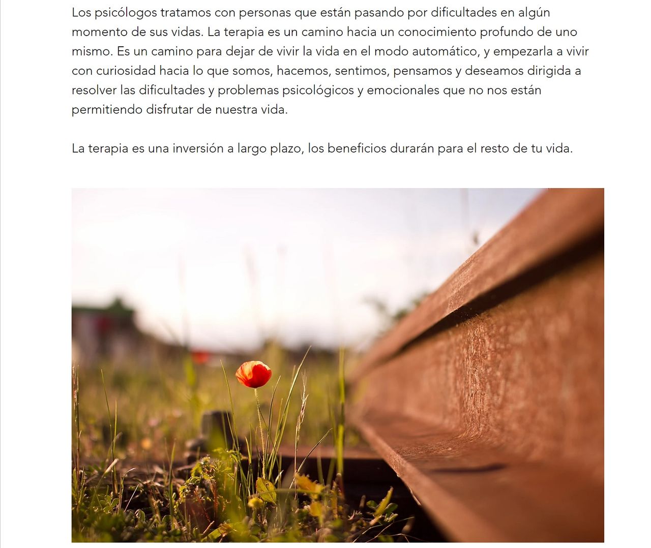 Sara Rivas Paredes-8