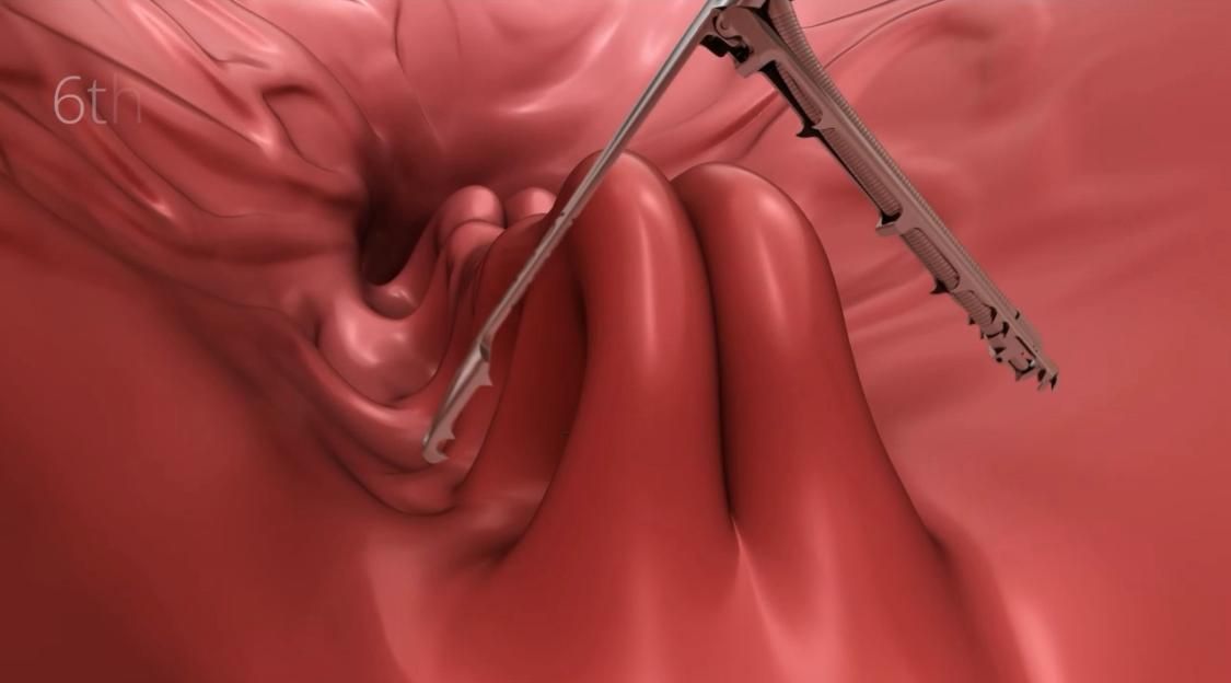 José Luis Domínguez Jiménez-10