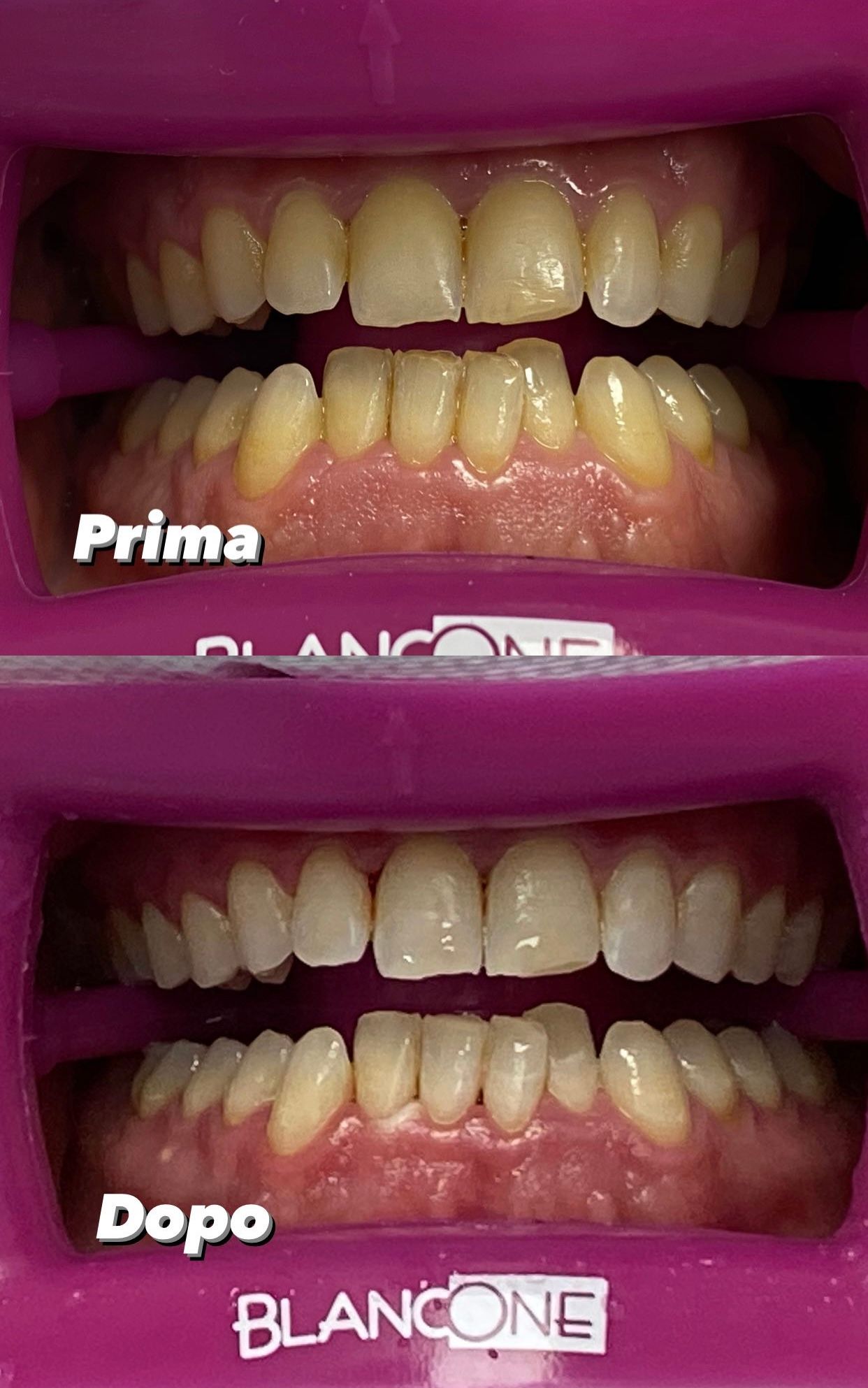 Francesca Muggiano-34