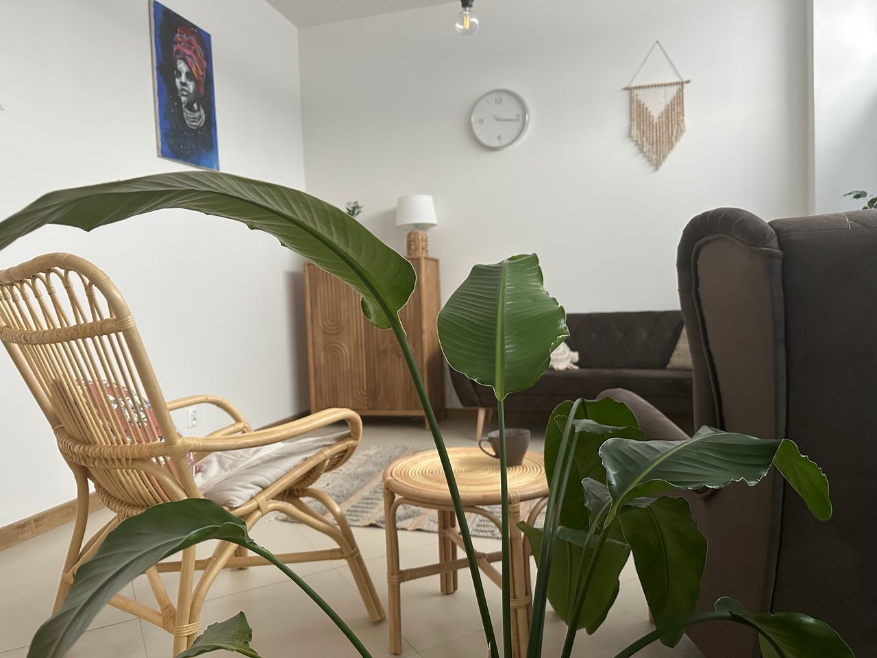 Agnieszka Jarosz-Kosakowska-1