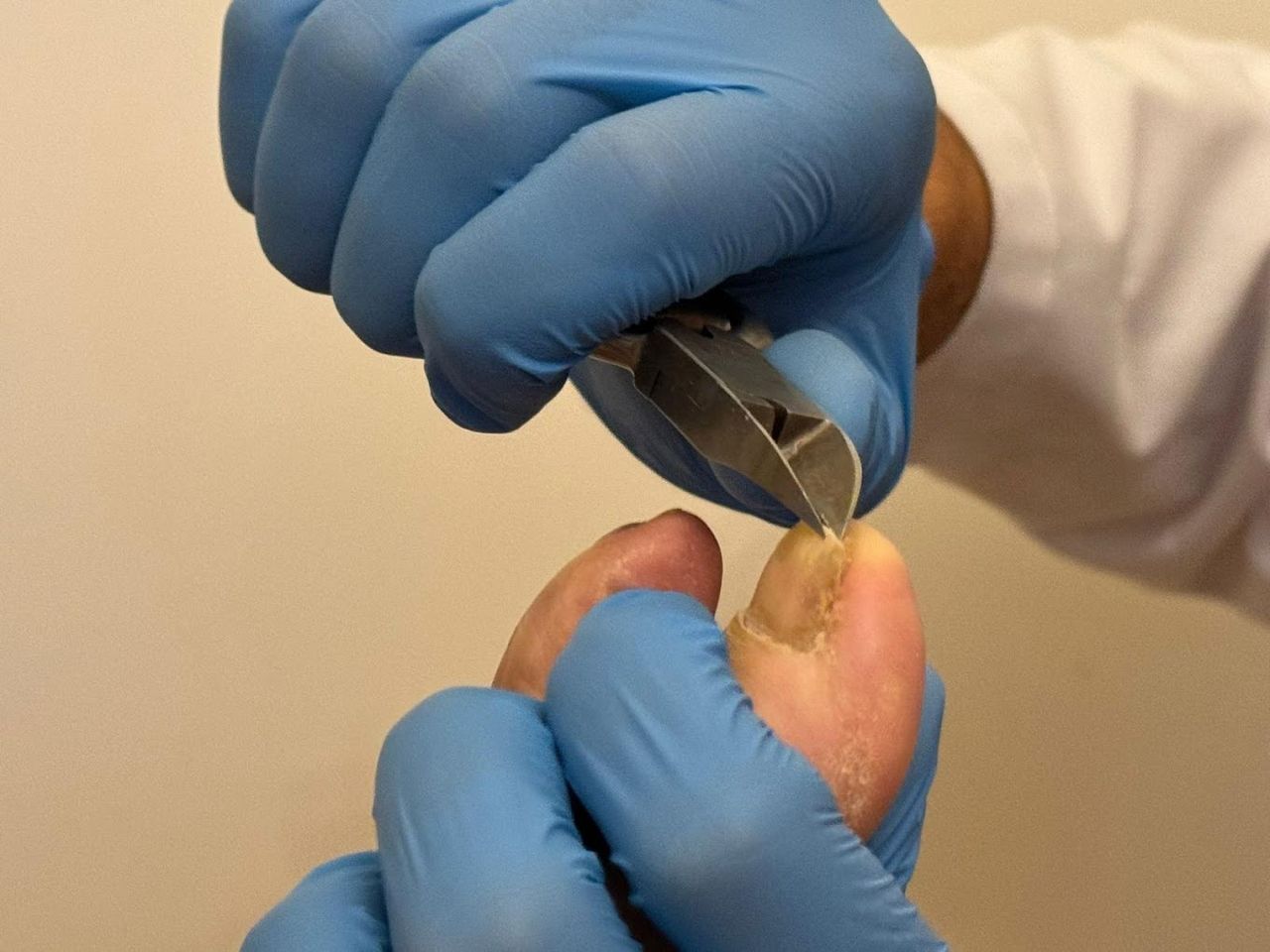 Gianmarco Cardellicchio-4