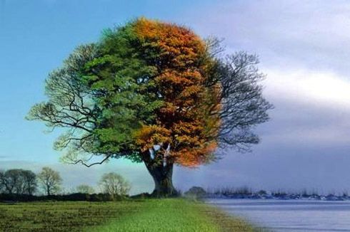 Fernanda Palenzuela Moral-3