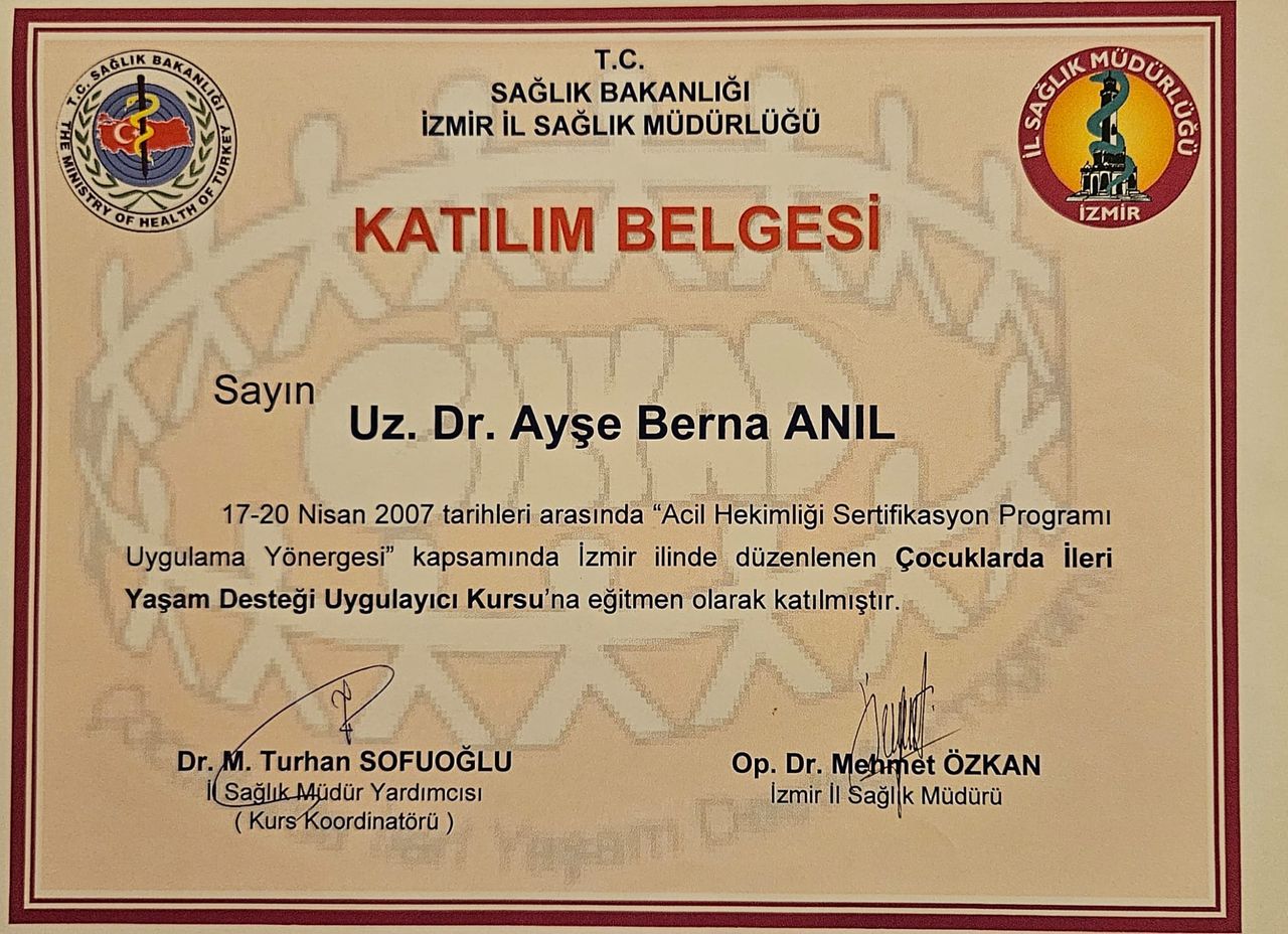 Ayşe Berna Anıl-11