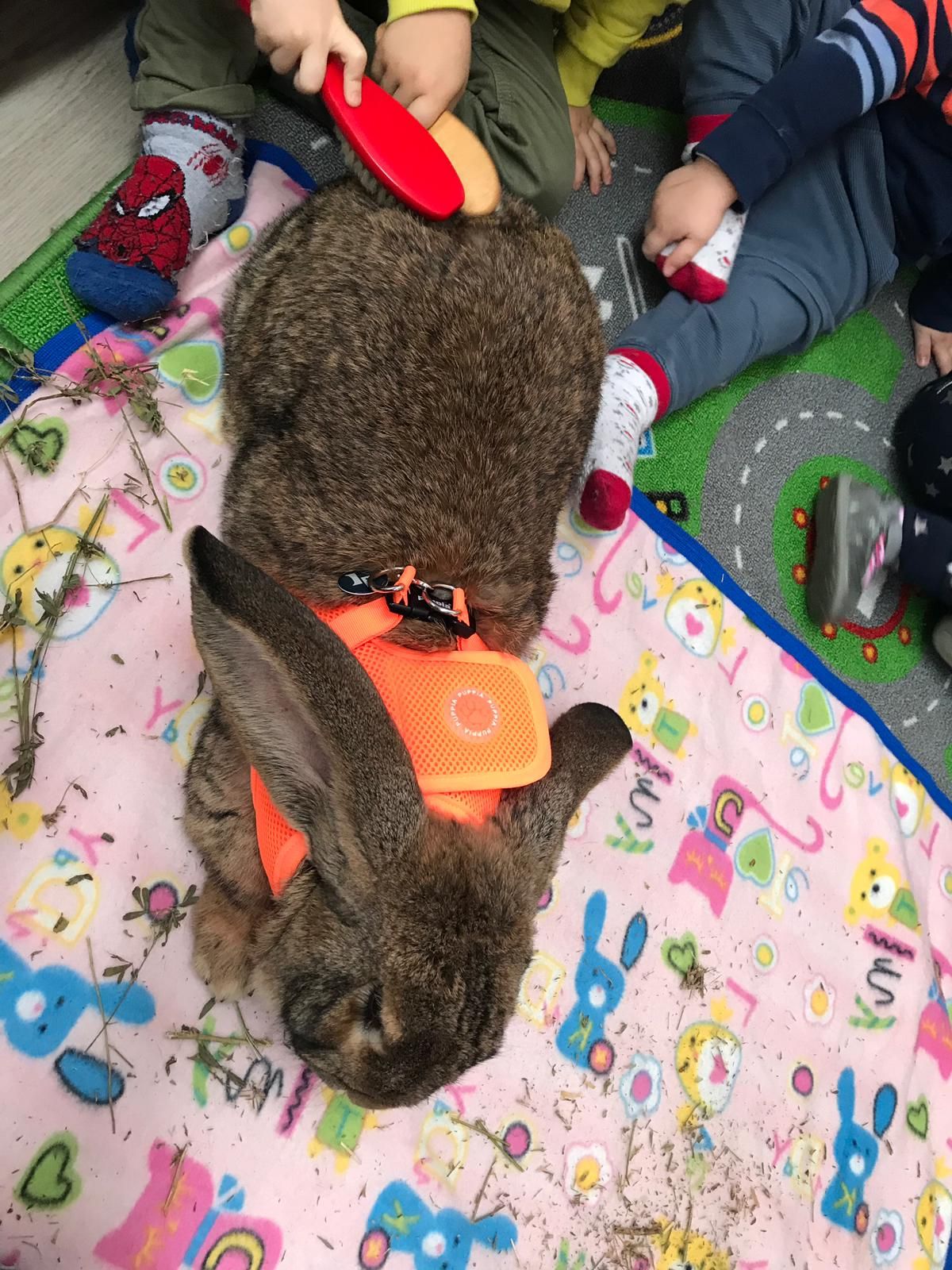 Sonia Sara Civallero-12