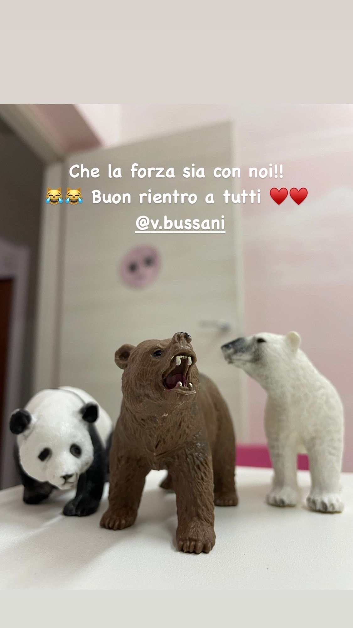 Valentina Bussani-47