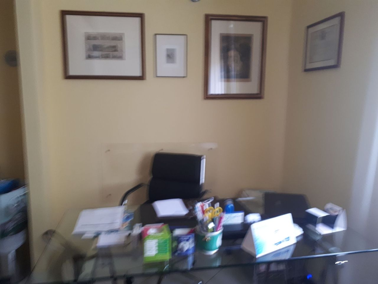 Rossella Mazzucato-4