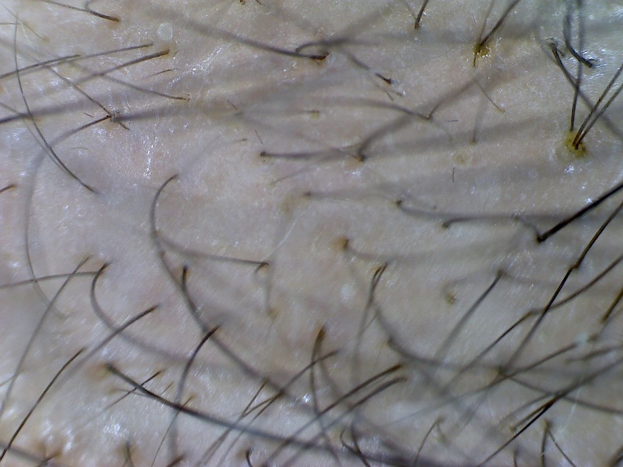 Elżbieta Wiszniewska-Gauer-4