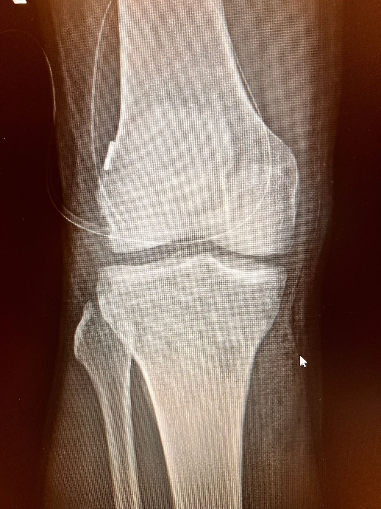 Marco Bargagliotti-8