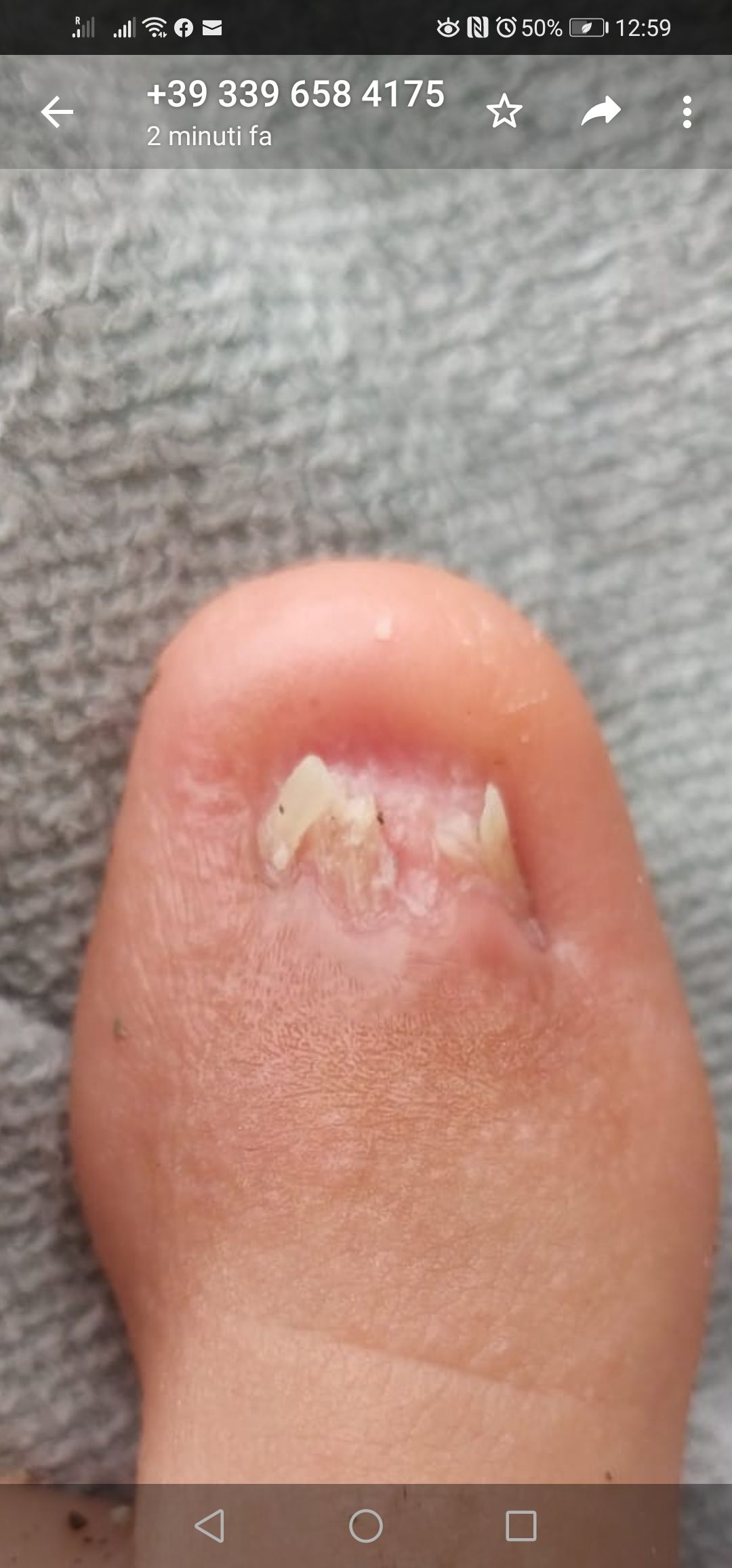 Kassandra Nicolosi-266