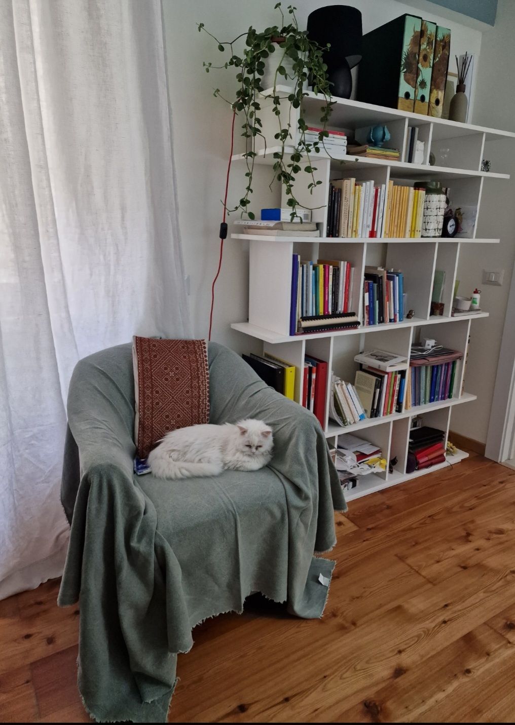 Maria Lucia Benvenuti-1