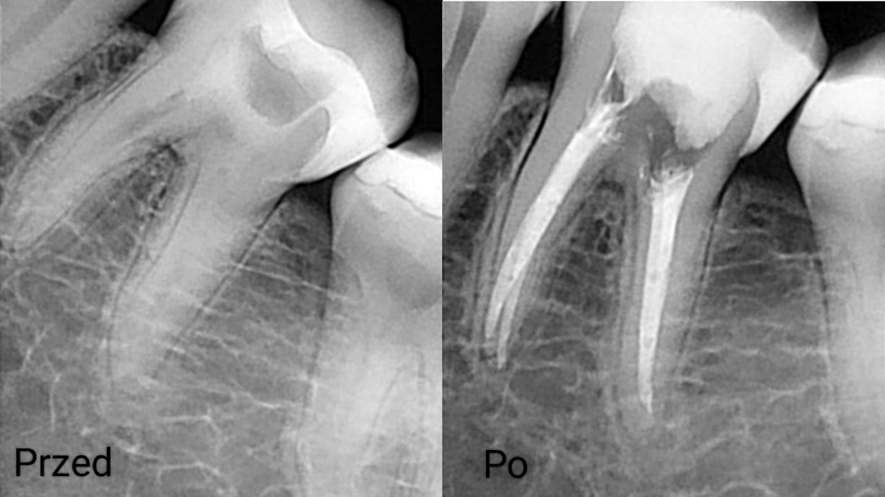 Aleksandra Bobrovskaya-2