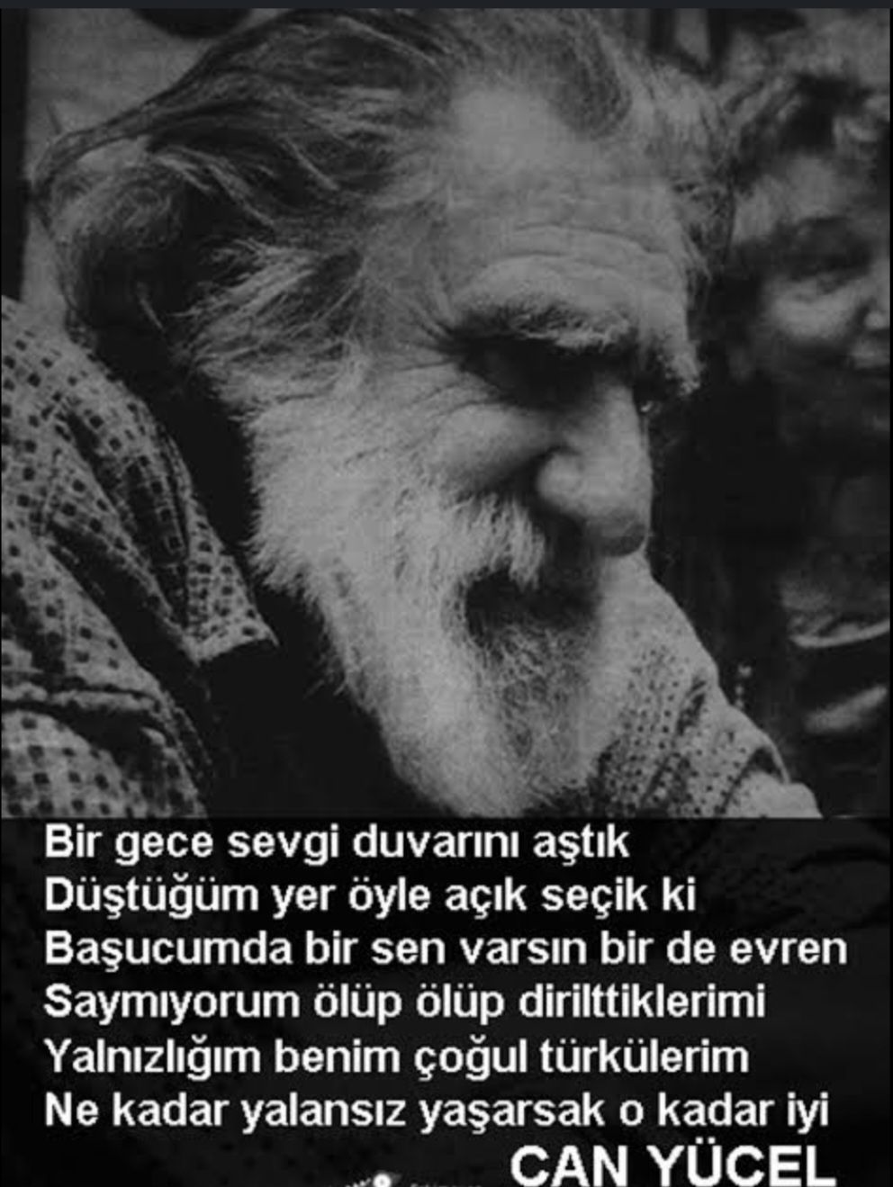 Ayşen Betül Okat-50