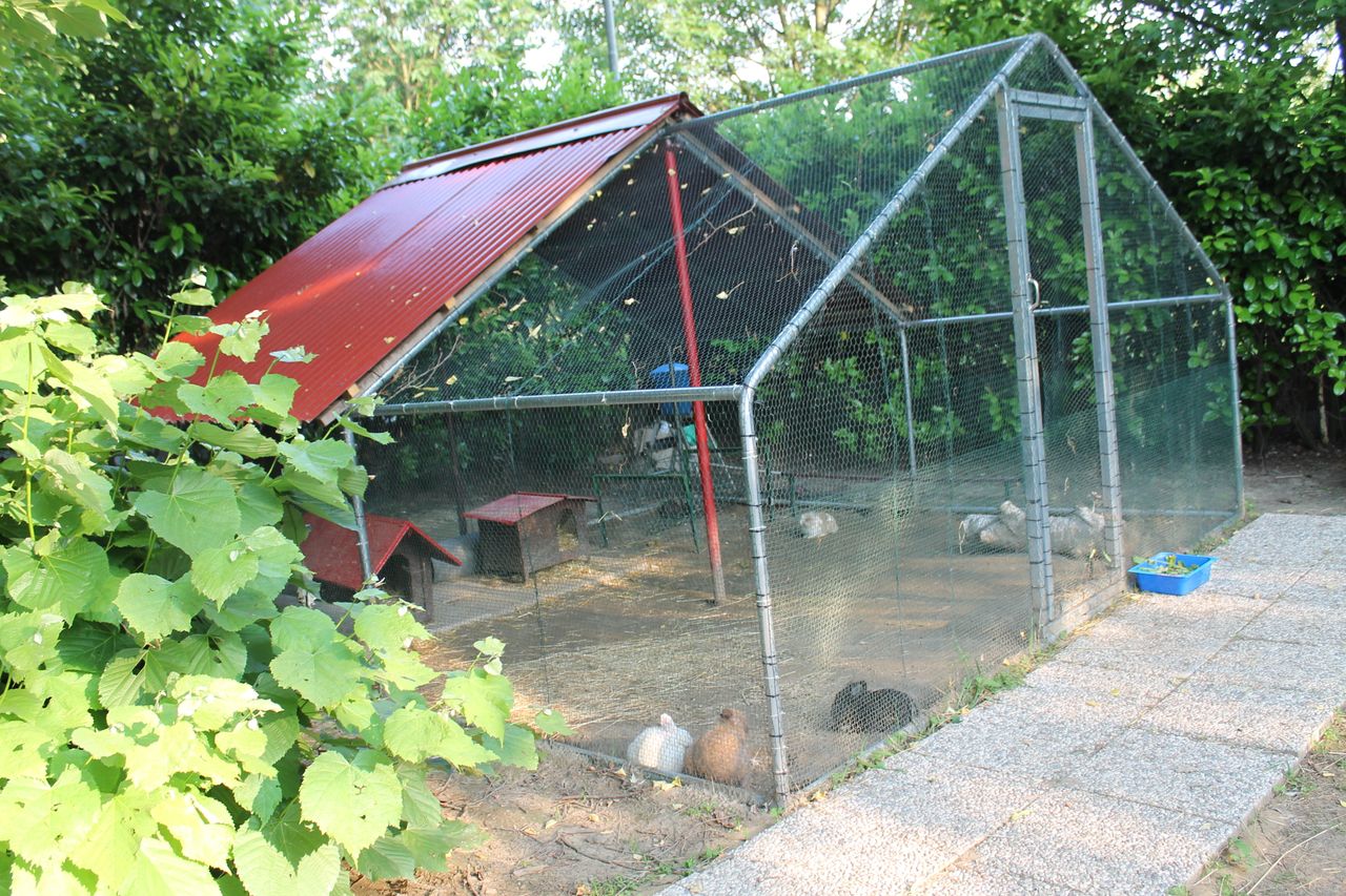 Sonia Sara Civallero-7