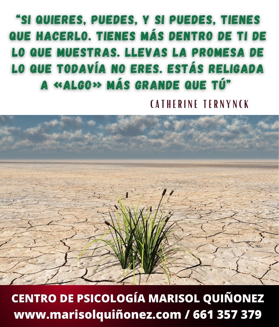 Marisol Quiñonez Quintero-75