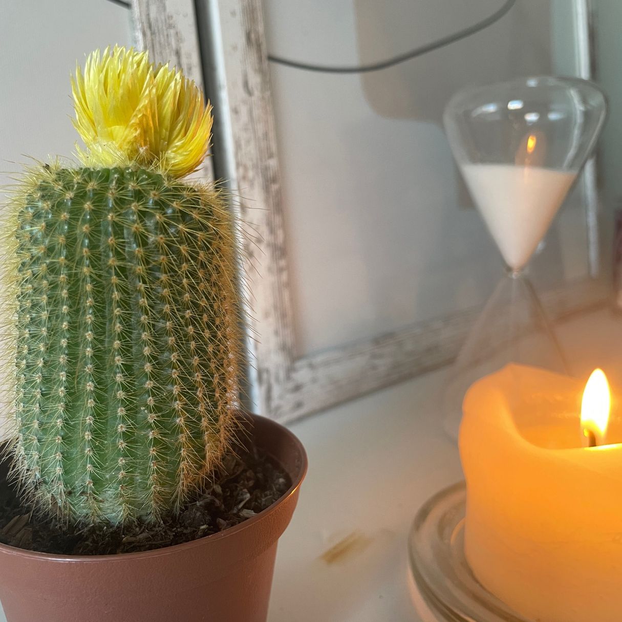 Patricia Gutiérrez Isla-19