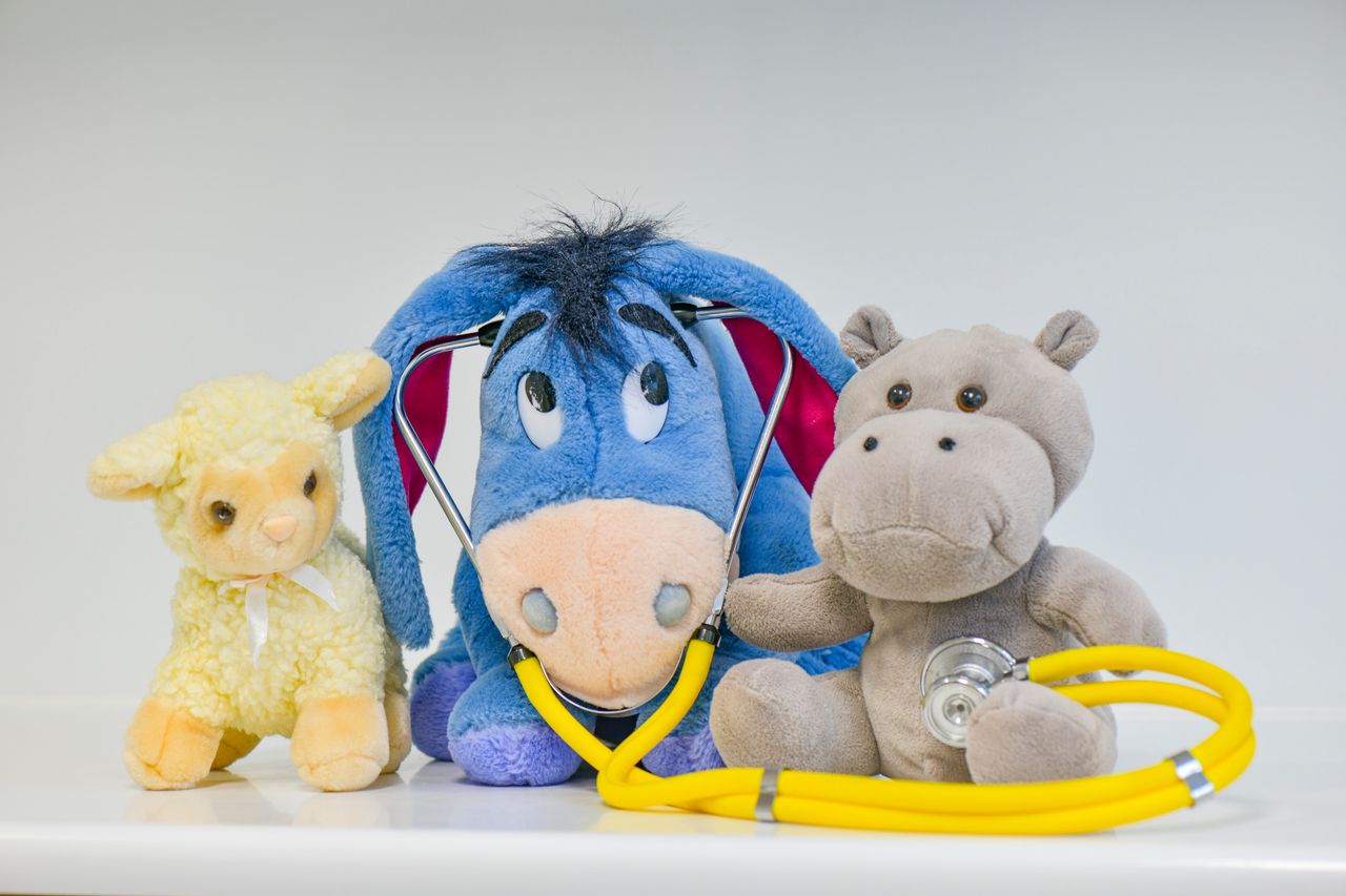 Bogumiła Jankowska-8