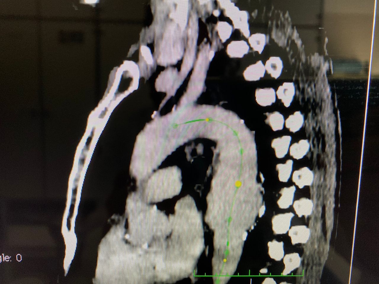 Giovanni Mastrangelo-5