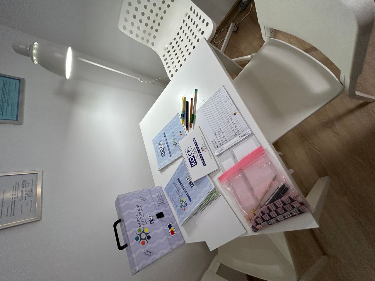 Joanna Guzik-Iwińska-1