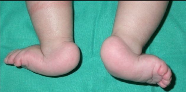 Giovanni Luigi Di Gennaro-18