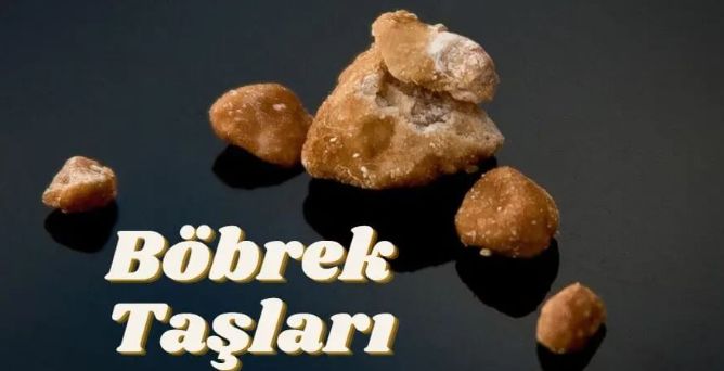 İnanç Yılmaz-8
