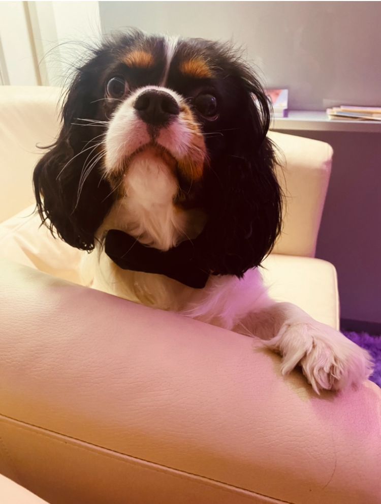 Monika Makvandi Nezhad-1