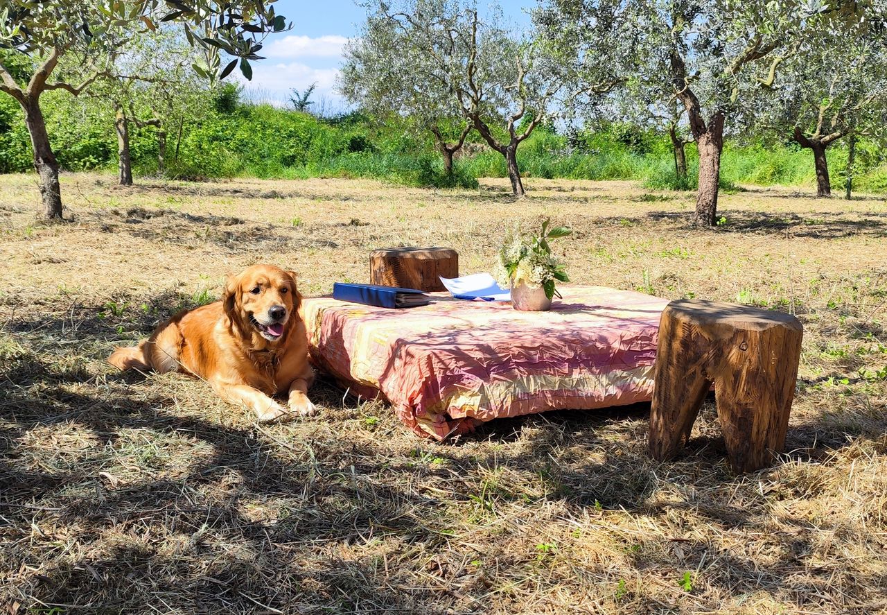 Francesca Archetti-10