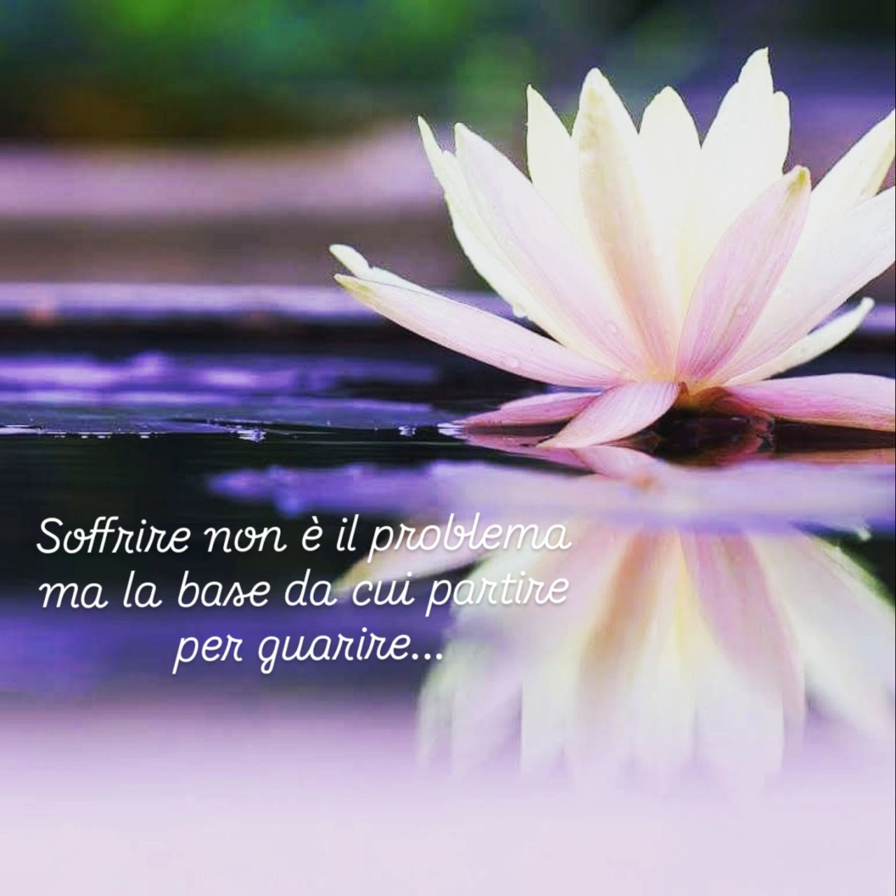 Francesca Morosini-5