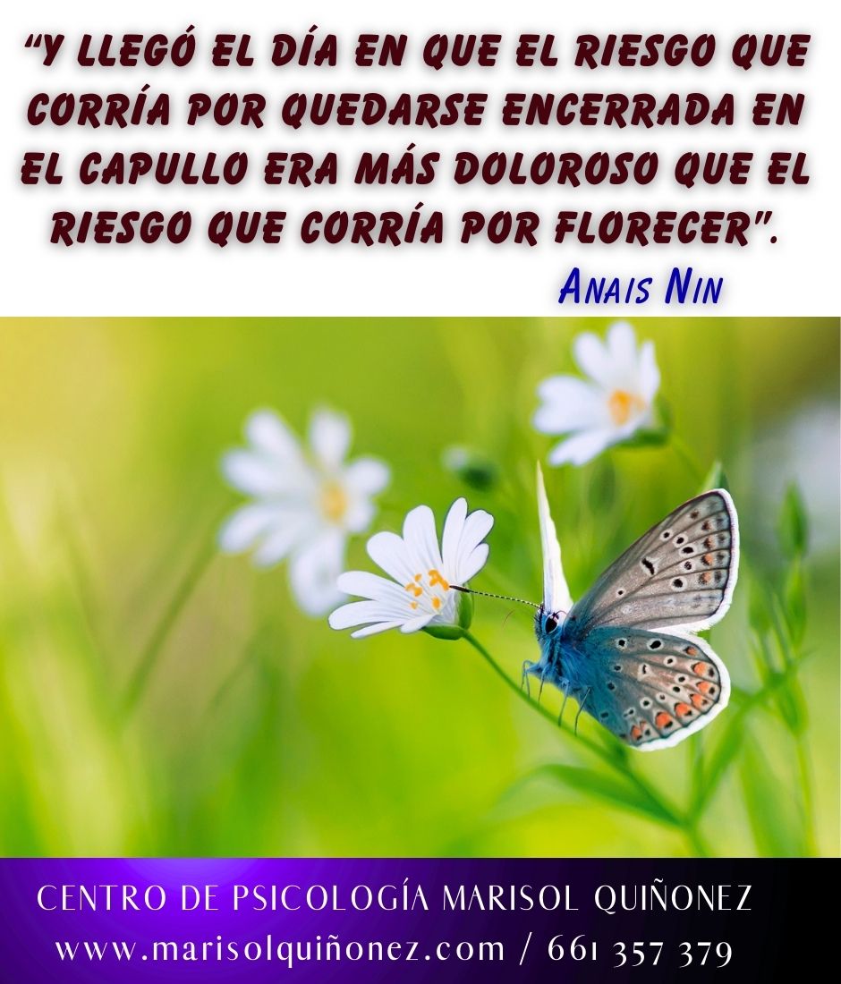 Marisol Quiñonez Quintero-159