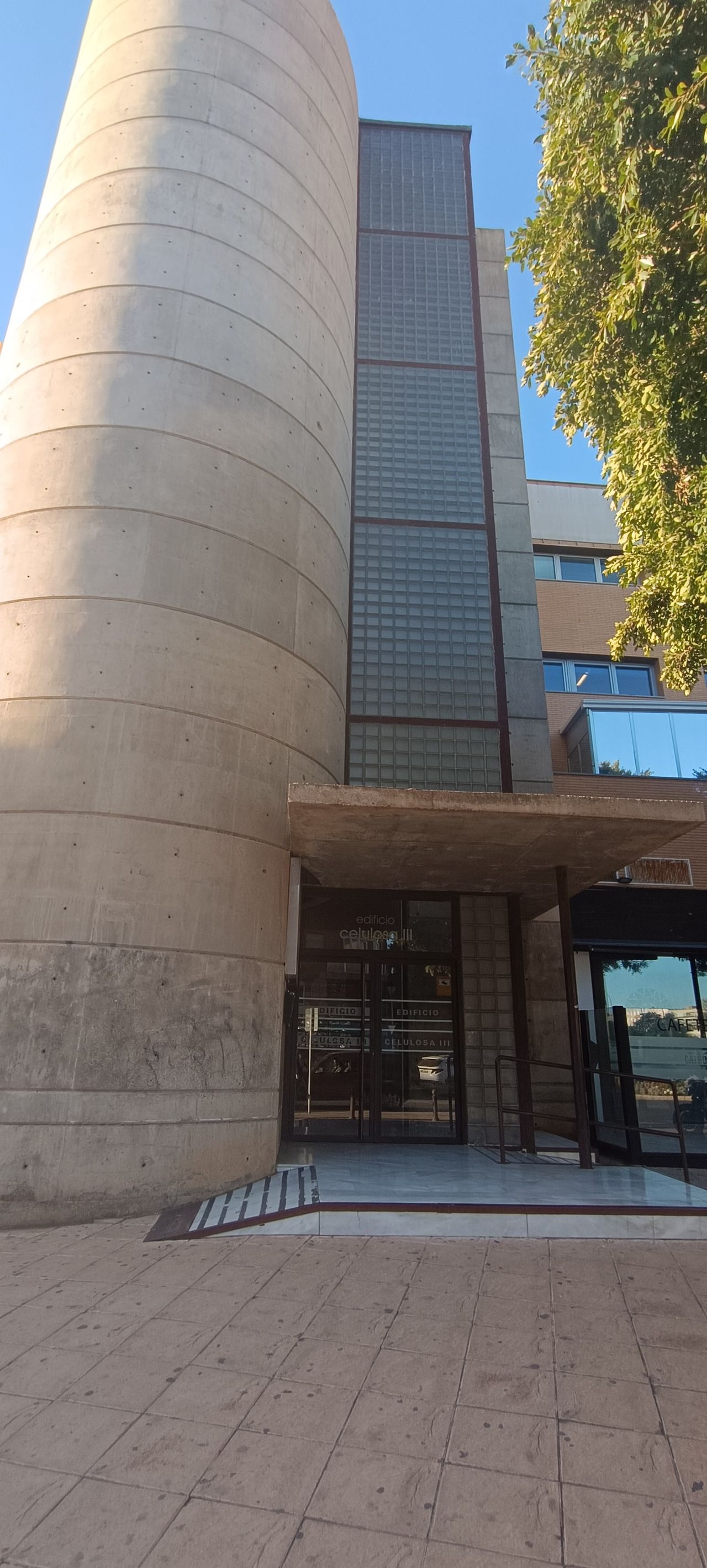 Inma Muñoz Sánchez-3