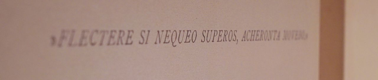 Jacopo Guastamacchia-8