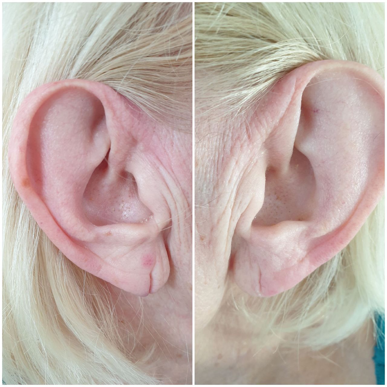 Franca Fleiner-Holinski-8