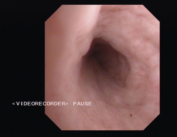 Andrzej Krzysztof Przybyła-12