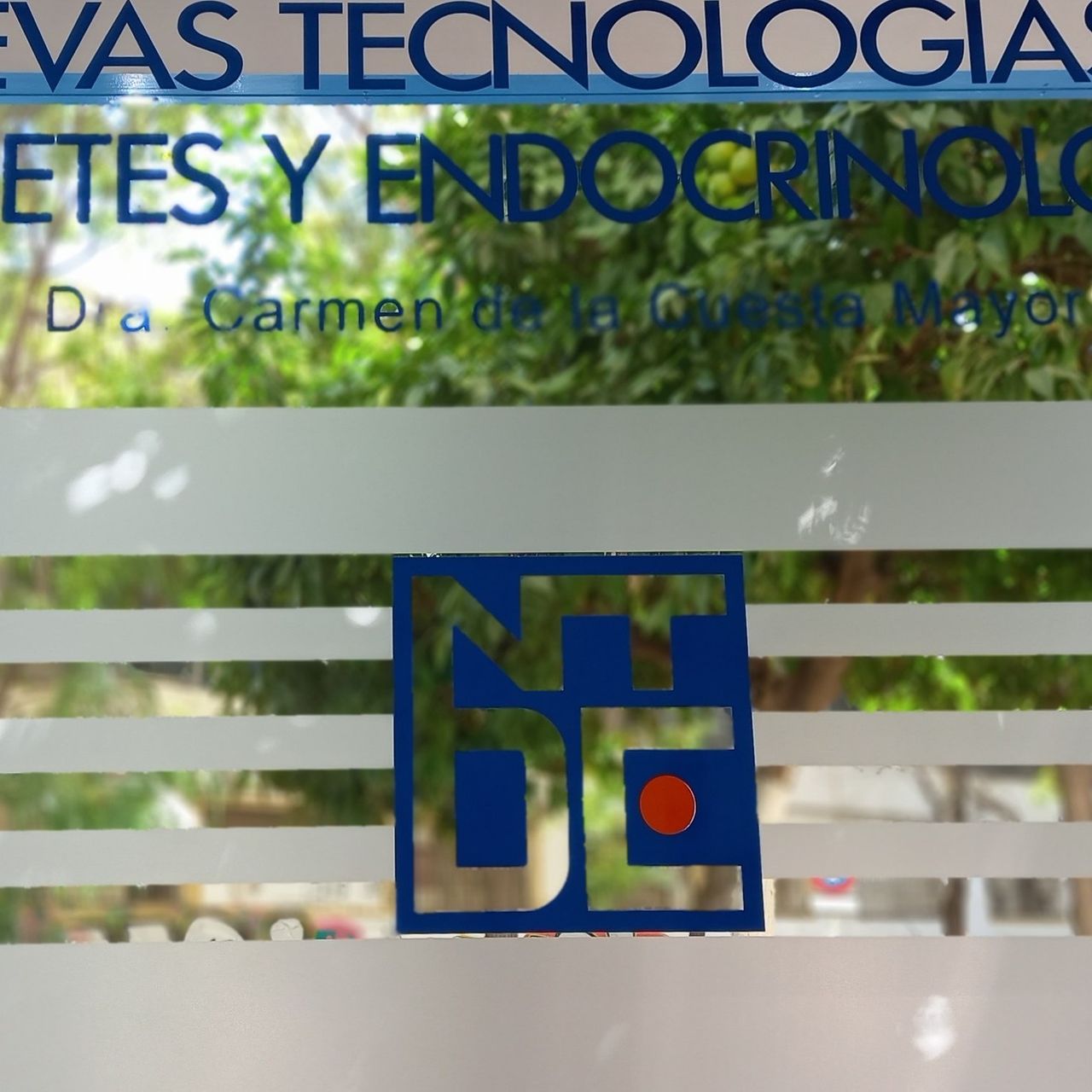 Carmen De La Cuesta Mayor-8