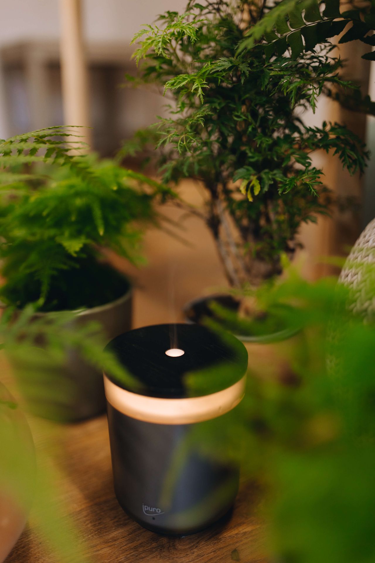 Magdalena Tucholska-3