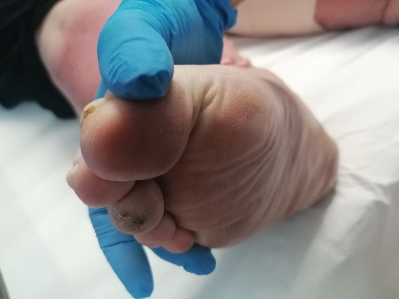 Kassandra Nicolosi-246