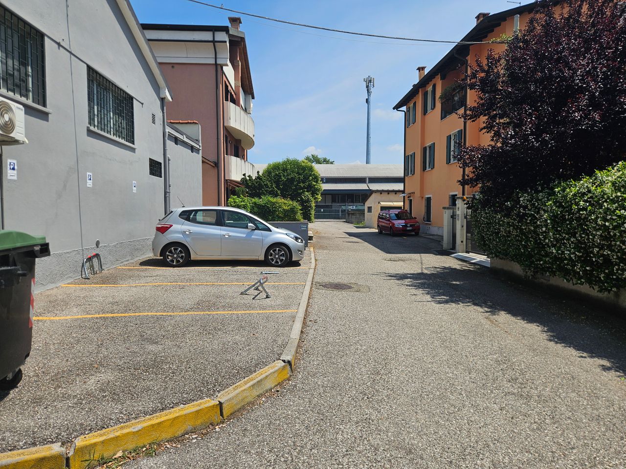 Leonardo Anzi-3