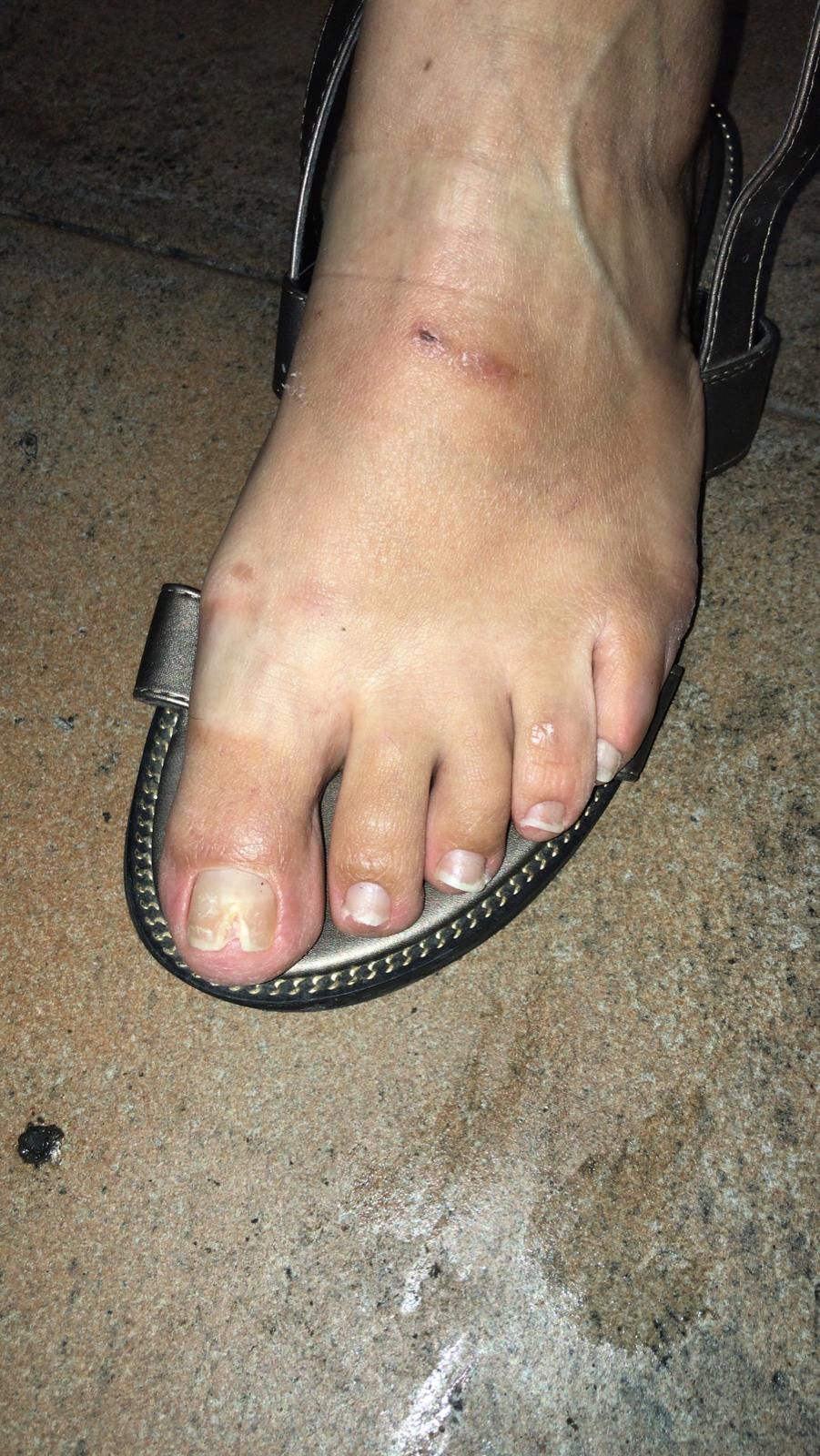 Kassandra Nicolosi-186