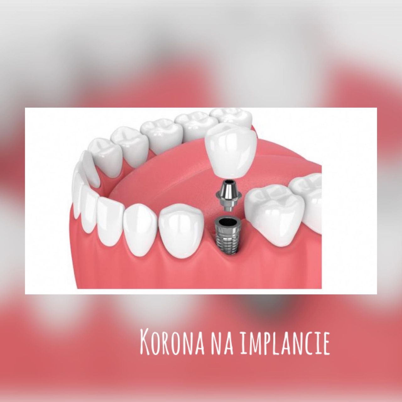 Karolina Anna Kownacka-4