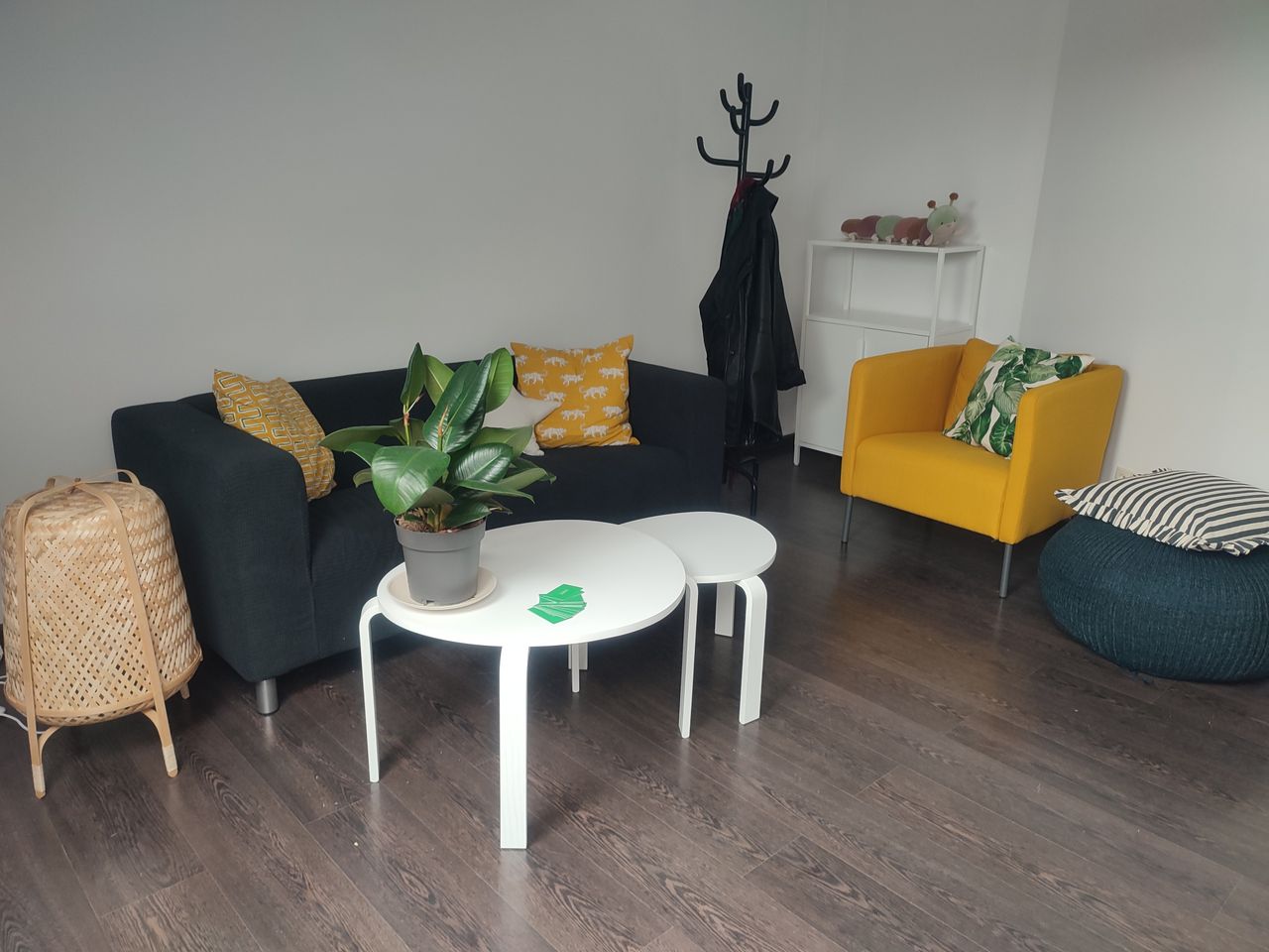 Joanna Adamiec-Molenda-3