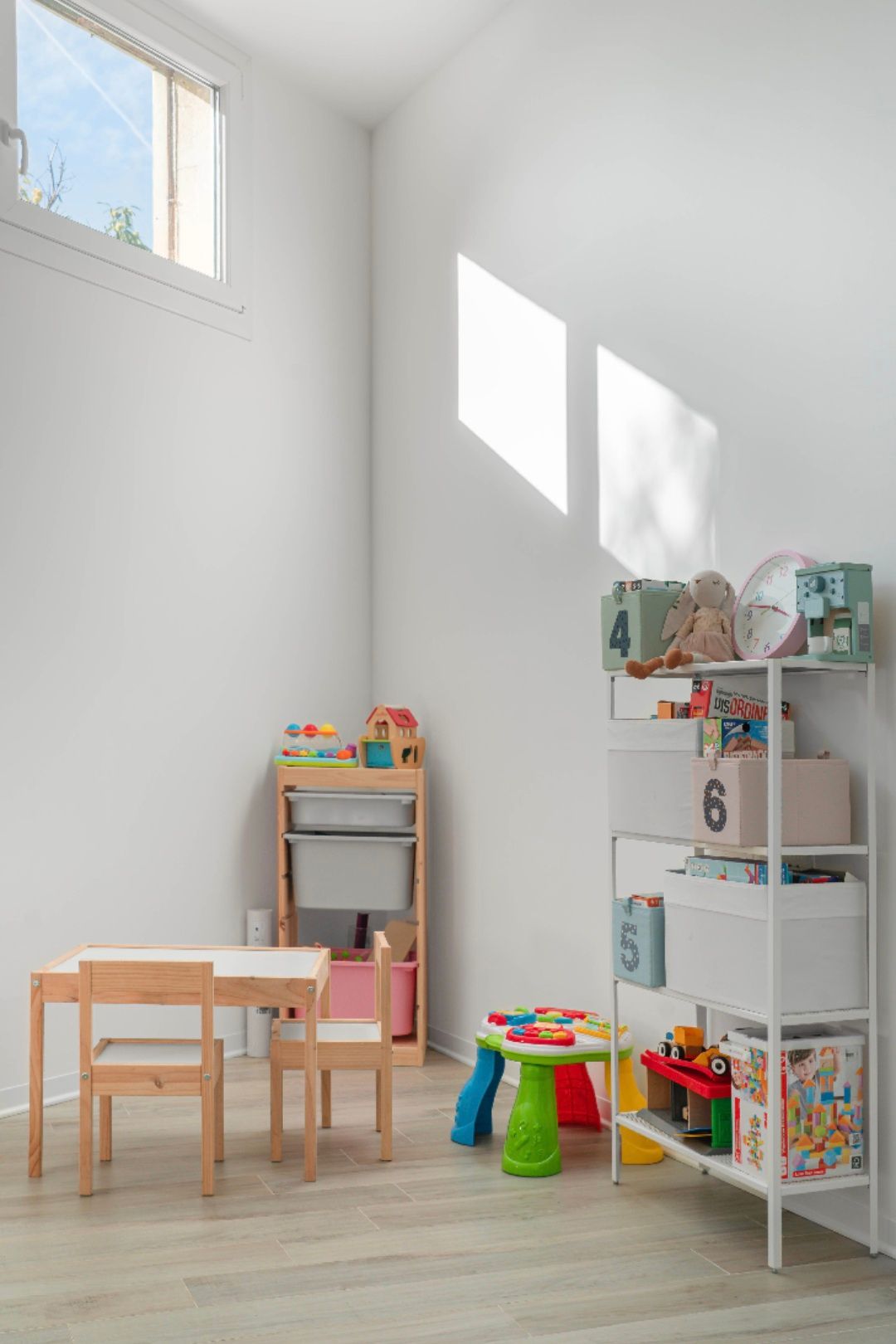 Maria Rosaria Carlotta Mollica-1