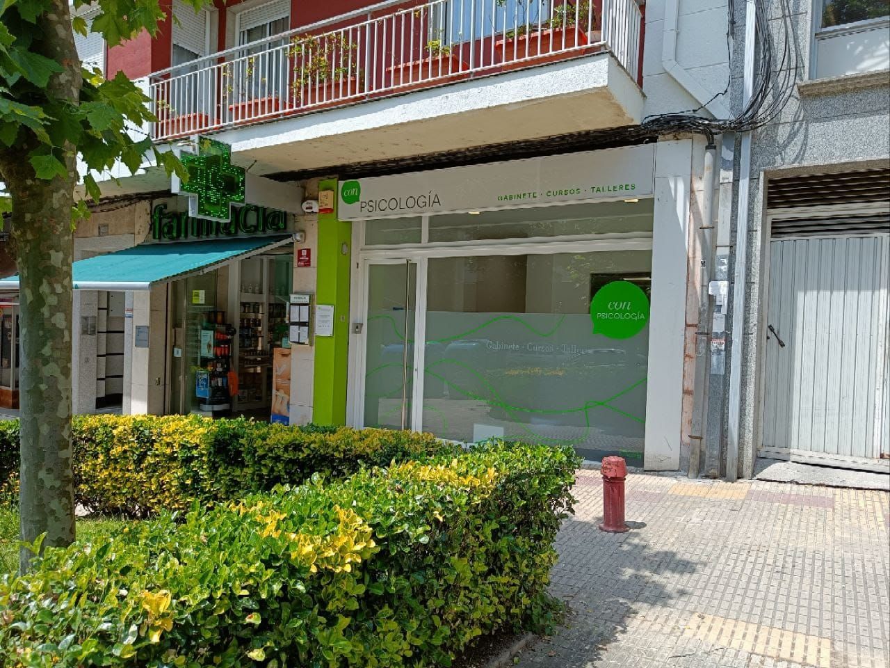 Yolanda Álvarez Alén-4