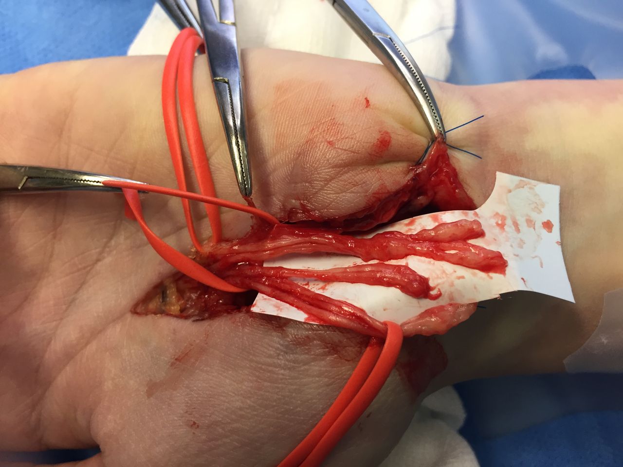 Giampaolo Monacelli-7