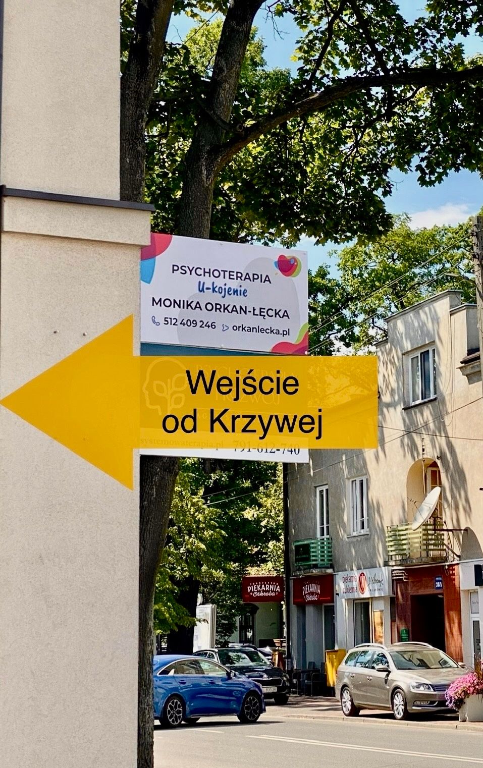 Monika Orkan-Łęcka-6