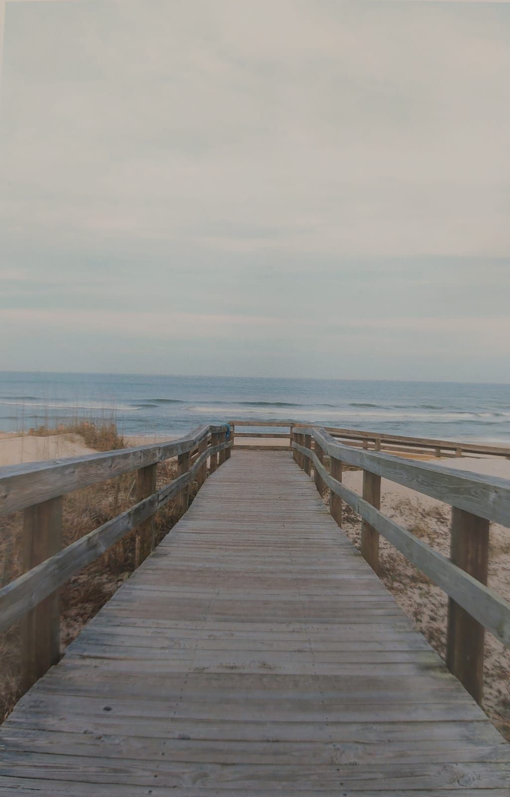 Isabel Rossi Garcia-26