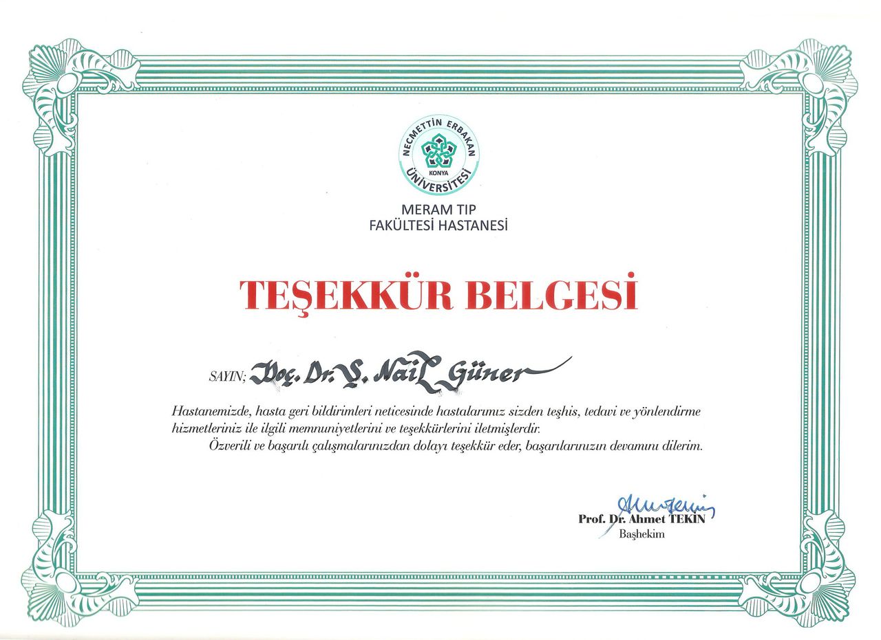 Şükrü Nail Güner-15