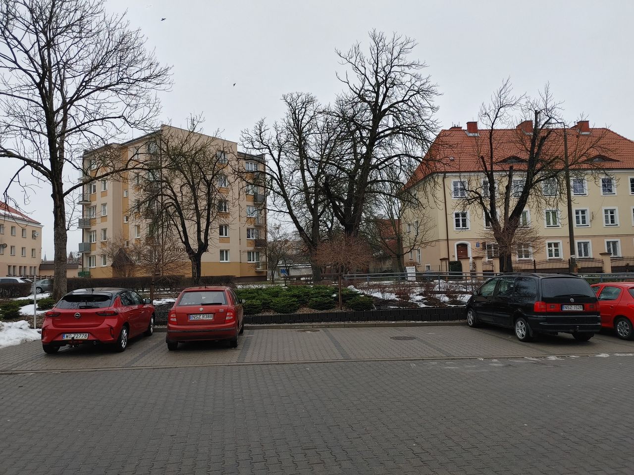 Aleksander Staniek-1