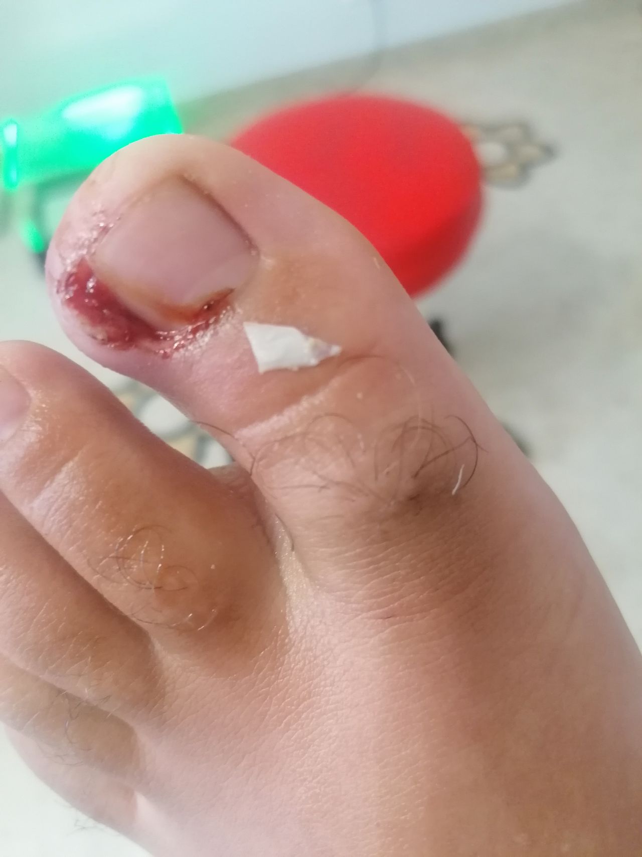 Kassandra Nicolosi-337