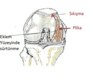 Übeydullah Sevgili-9