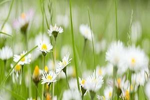 Regina Herzog-Visscher-4